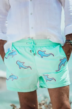 All Over Shark - Greenwater