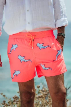 All Over Shark - Orange
