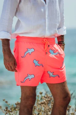 All Over Shark - Orange