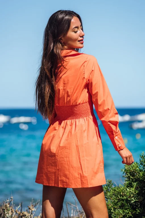 Vignes - Orange